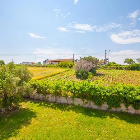 Apartmán Deluxe Afytos